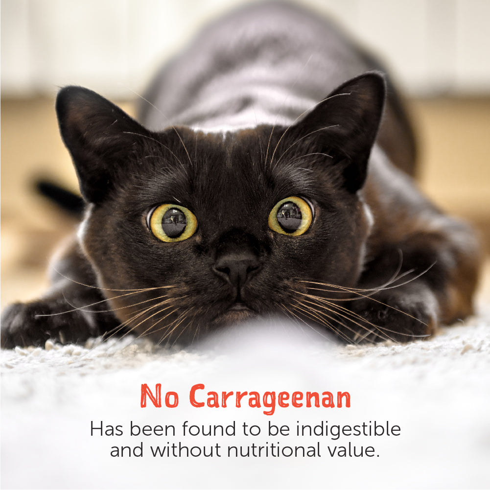 Loveabowl Tuna Ribbons in broth with Red Snapper Cat Canned Food 70g