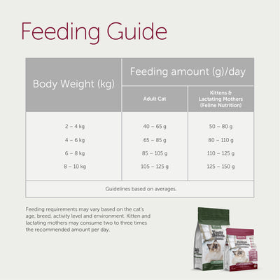 Top Ration Premium Cat Dry Food Feline Nutrition 300g Trial Pack High Quality Cat Food
