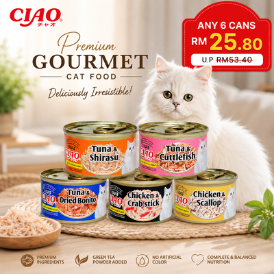 Ciao Premium Cat Canned Food White Meat Chicken & Scallop In Jelly Canned Cat Food 75g
