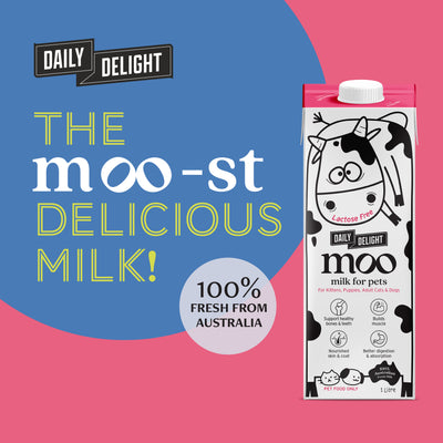 Daily Delight Lactose Free Moo Milk for Pets 1L