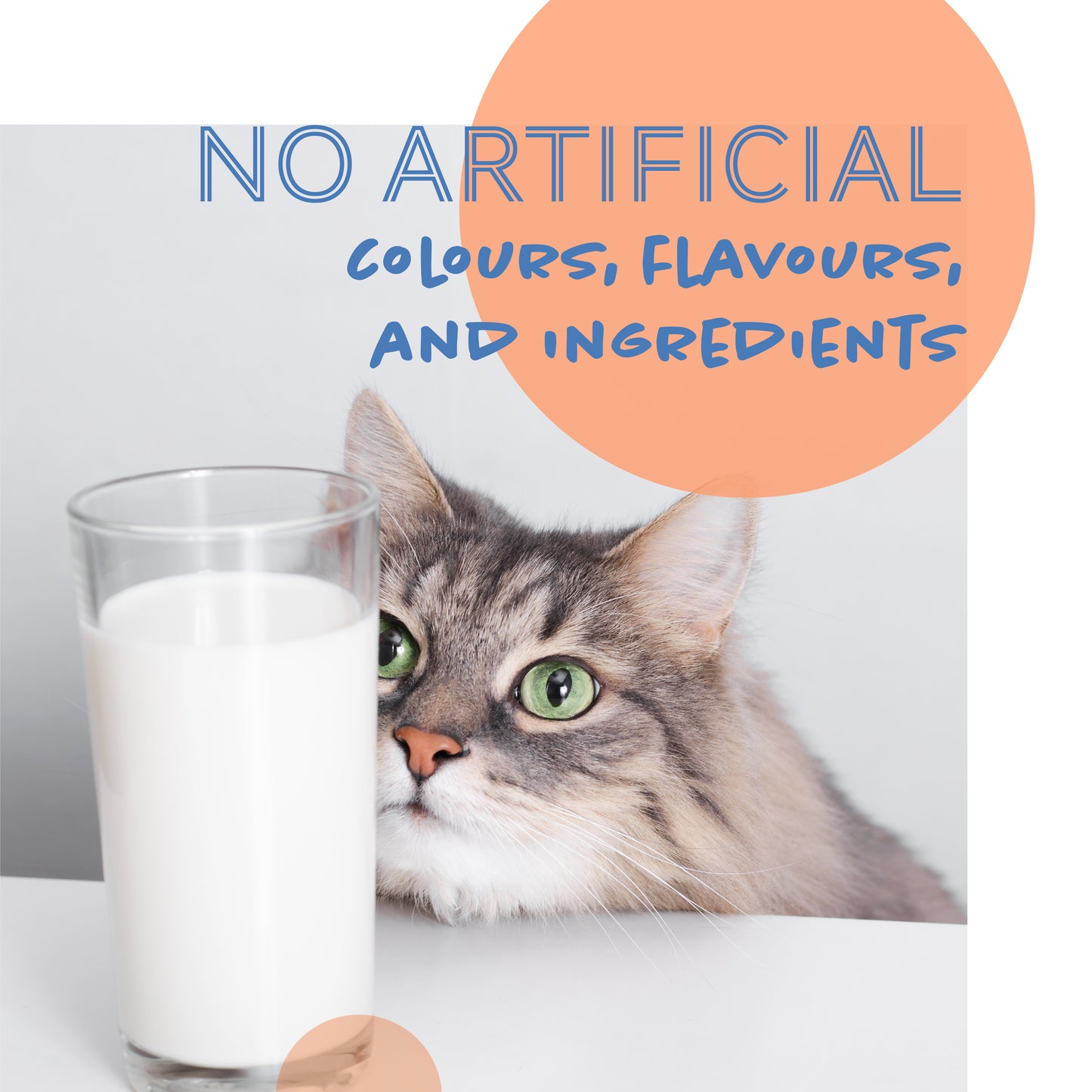 Daily Delight Lactose Free Moo Milk for Pets 1L