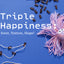 Happi Skippi Catnibbs Tuna Cat Treats 60g
