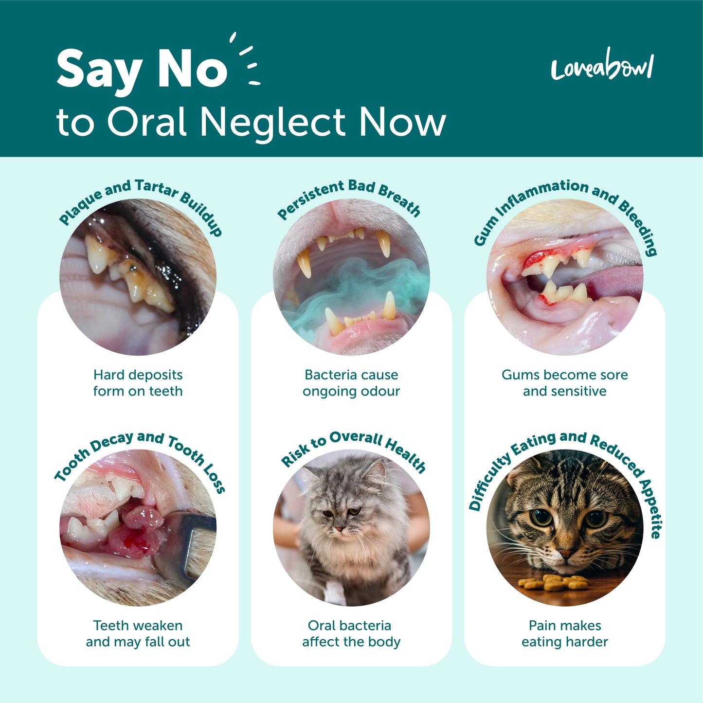 Loveabowl Clean-A-Tooth Dental Finger Wipes for Cats Unscented | Dual-Textured Pet Teeth Cleaning Wipes | Fresh Breath & Gum Care (50pcs)