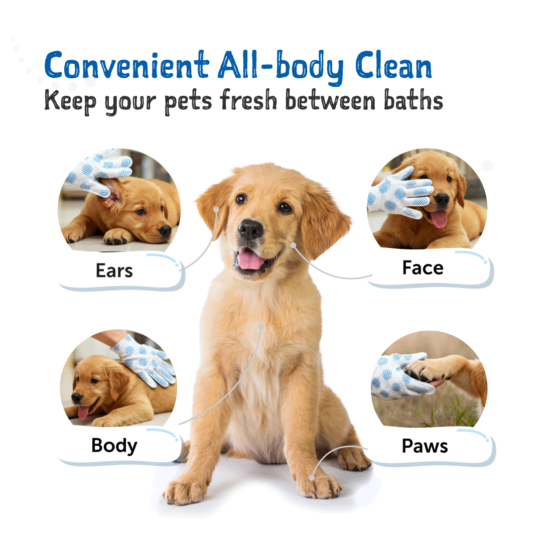 Loveabowl Clean-A-Dog Stress-Free Pet Glove 10pcs
