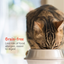 Loveabowl Chicken Snowflakes in broth with Red Snapper Cat Canned Food 70g