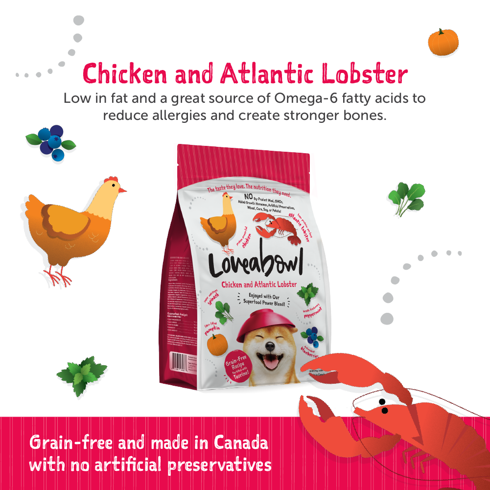 Loveabowl Chicken & Atlantic Lobster Grain Free Dog Dry Food