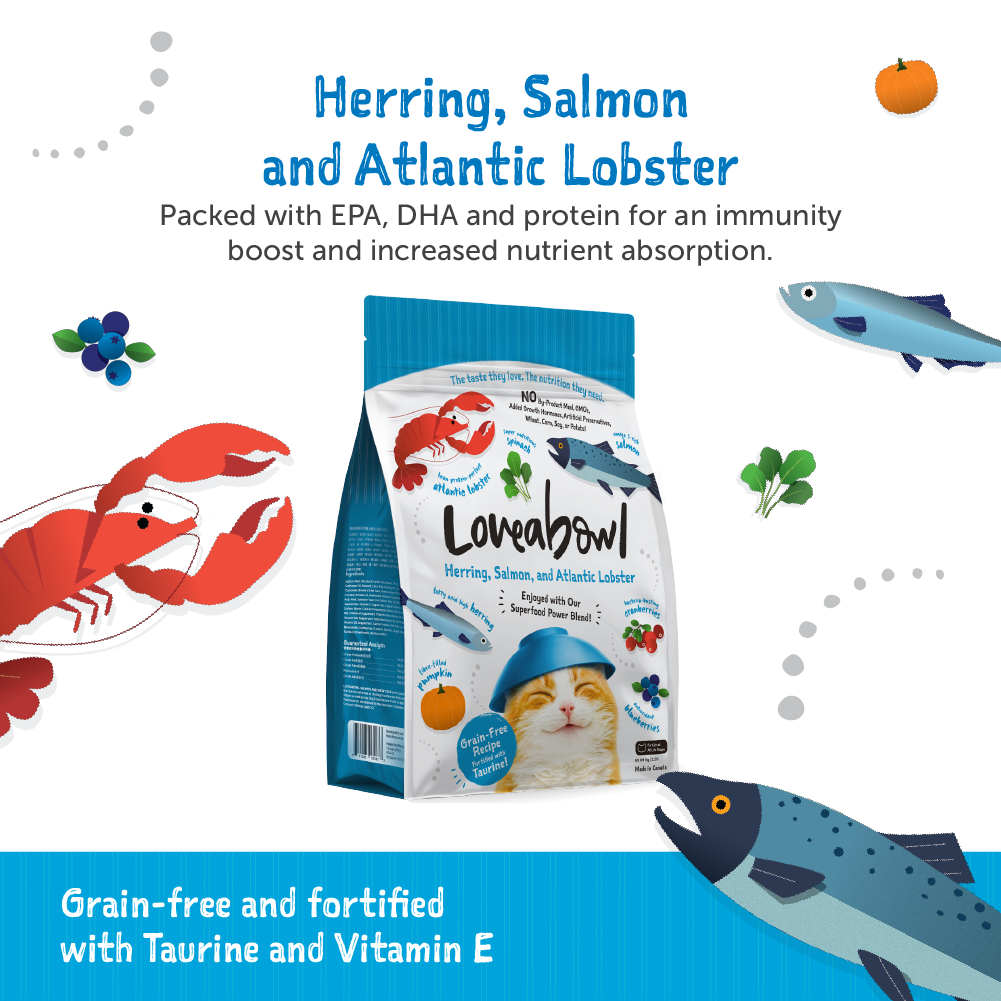 Loveabowl Herring,Salmon & Atlantic Lobster Grain Free Cat Dry Food