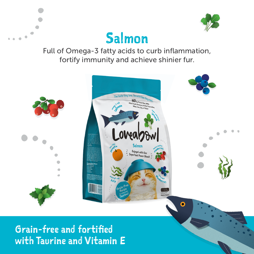 Loveabowl Salmon Grain Free Cat Dry Food