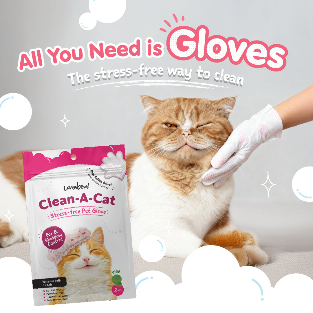Loveabowl Clean-A-Cat Stress-Free Pet Glove 10pcs