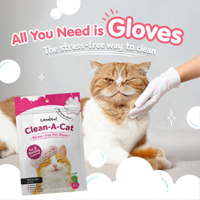 Loveabowl Clean-A-Cat Stress-Free Pet Glove Trail Pack 2pcs