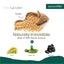NurturePRO Tofu Cat Litter 7L | Flushable | Dust-Free | Fast Clumping | Odour Control | Original / Corn / Green Tea / Charcoal